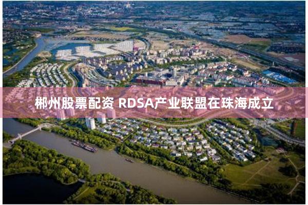 郴州股票配资 RDSA产业联盟在珠海成立