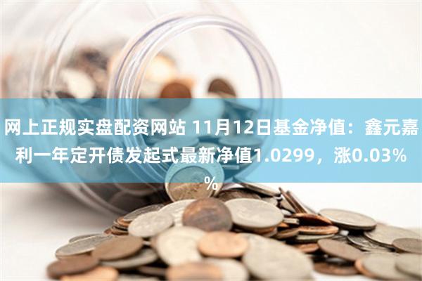 网上正规实盘配资网站 11月12日基金净值：鑫元嘉利一年定开债发起式最新净值1.0299，涨0.03%