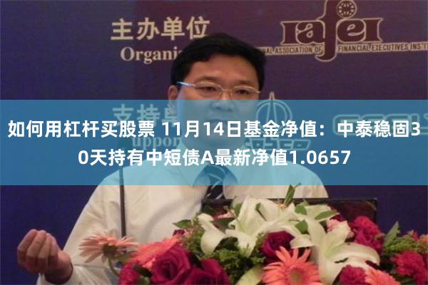 如何用杠杆买股票 11月14日基金净值：中泰稳固30天持有中短债A最新净值1.0657