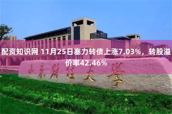 配资知识网 11月25日塞力转债上涨7.03%，转股溢价率42.46%