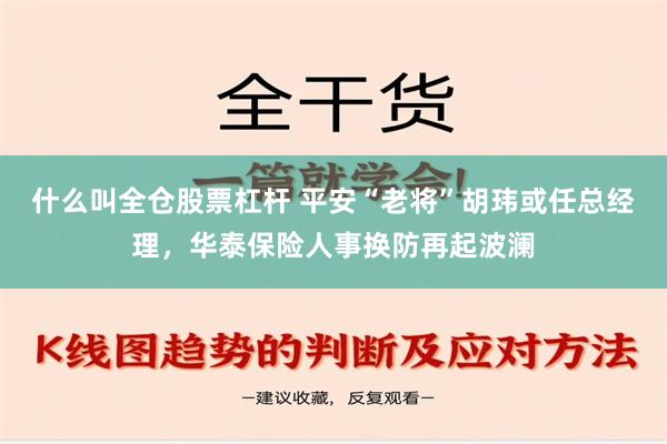 什么叫全仓股票杠杆 平安“老将”胡玮或任总经理，华泰保险人事换防再起波澜