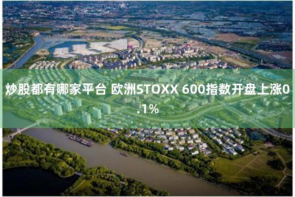 炒股都有哪家平台 欧洲STOXX 600指数开盘上涨0.1%